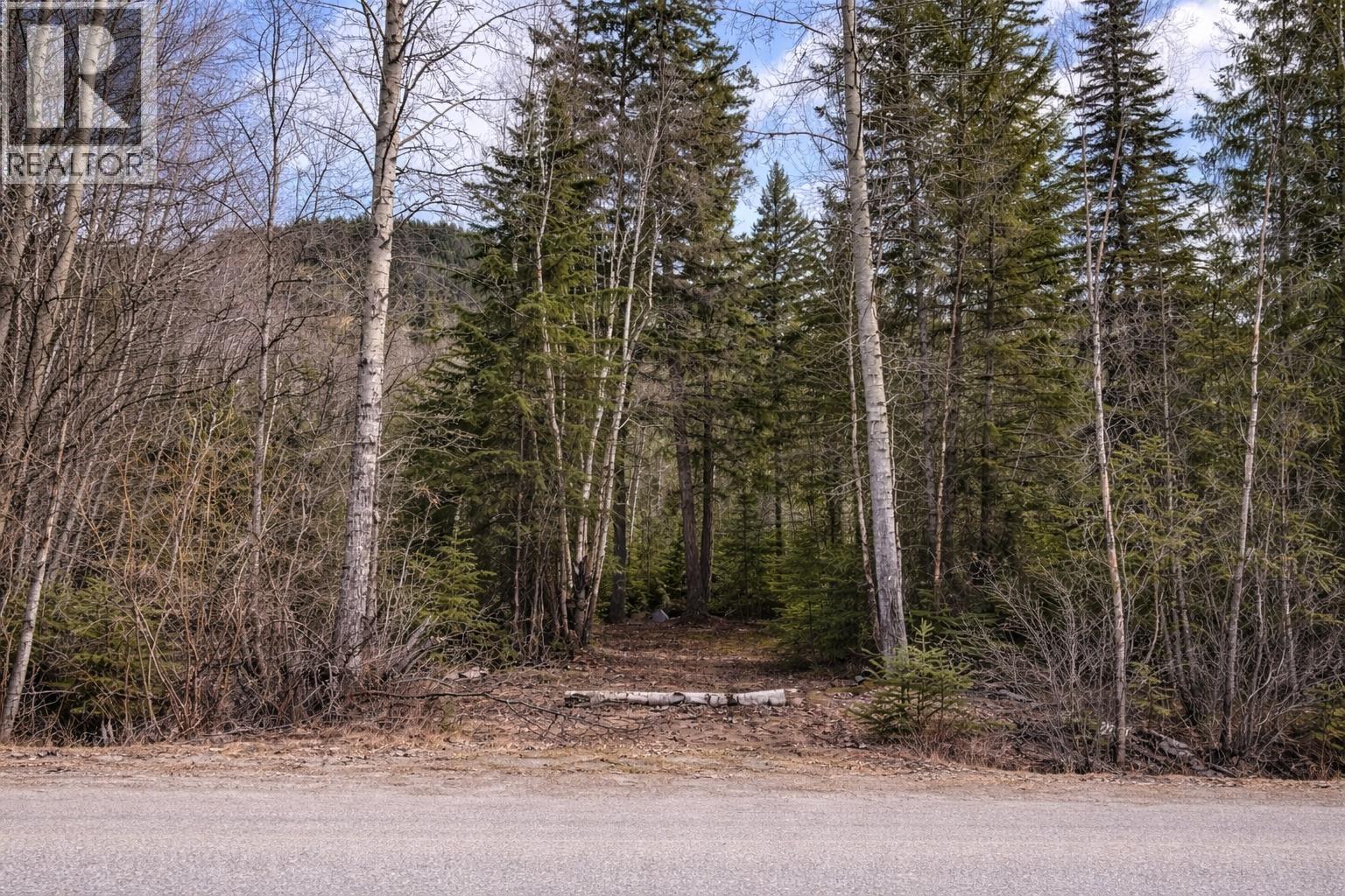 LOT 1 S CANIM LAKE ROAD