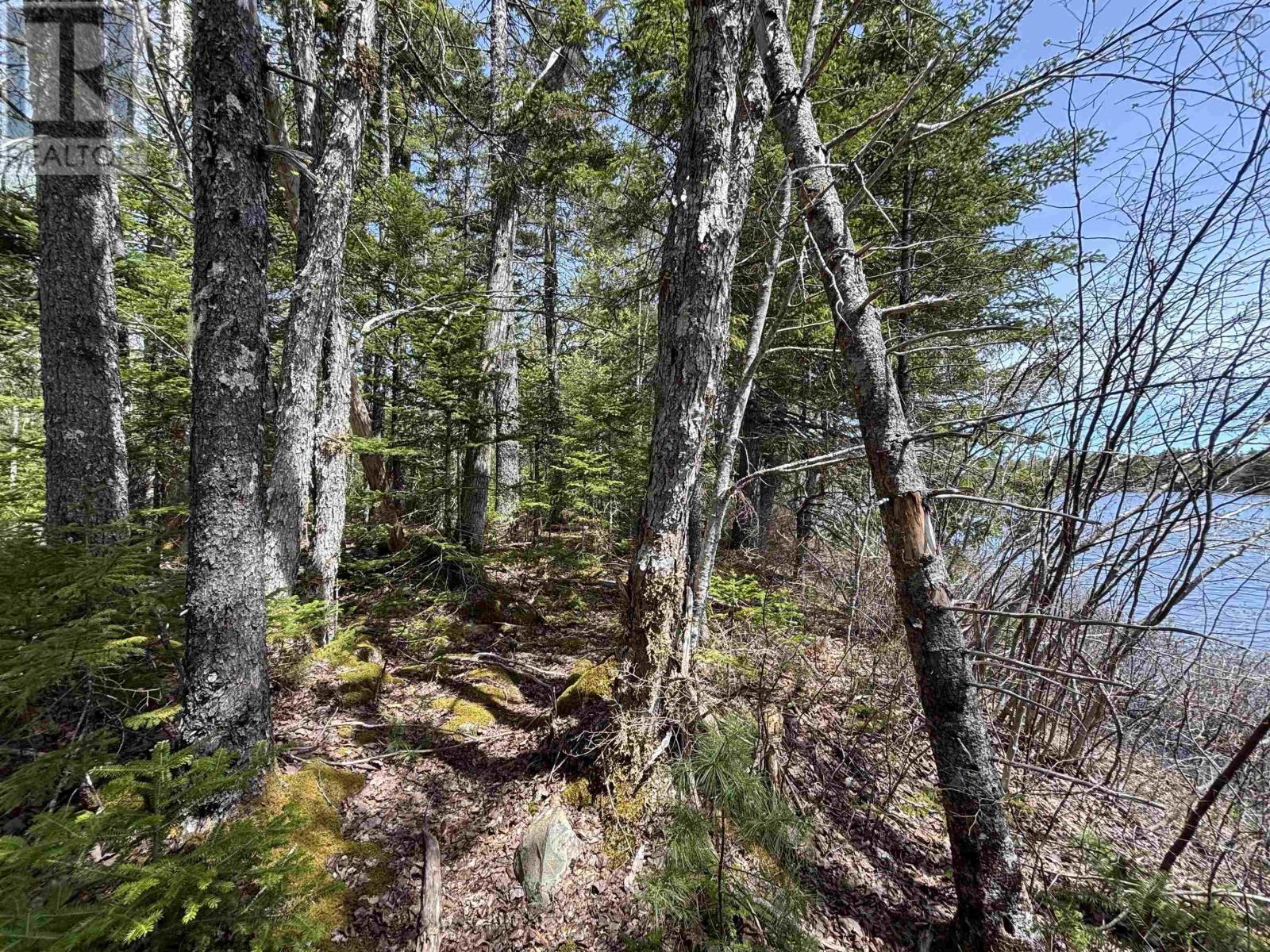 Lot 6-23 Highway 325 - Photo 3