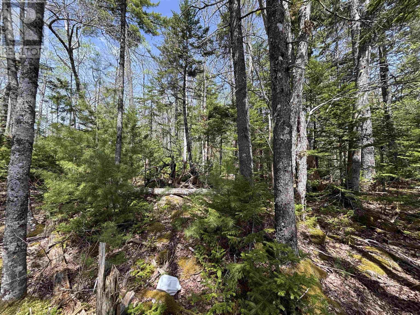 Lot 6-23 Highway 325 - Photo 4