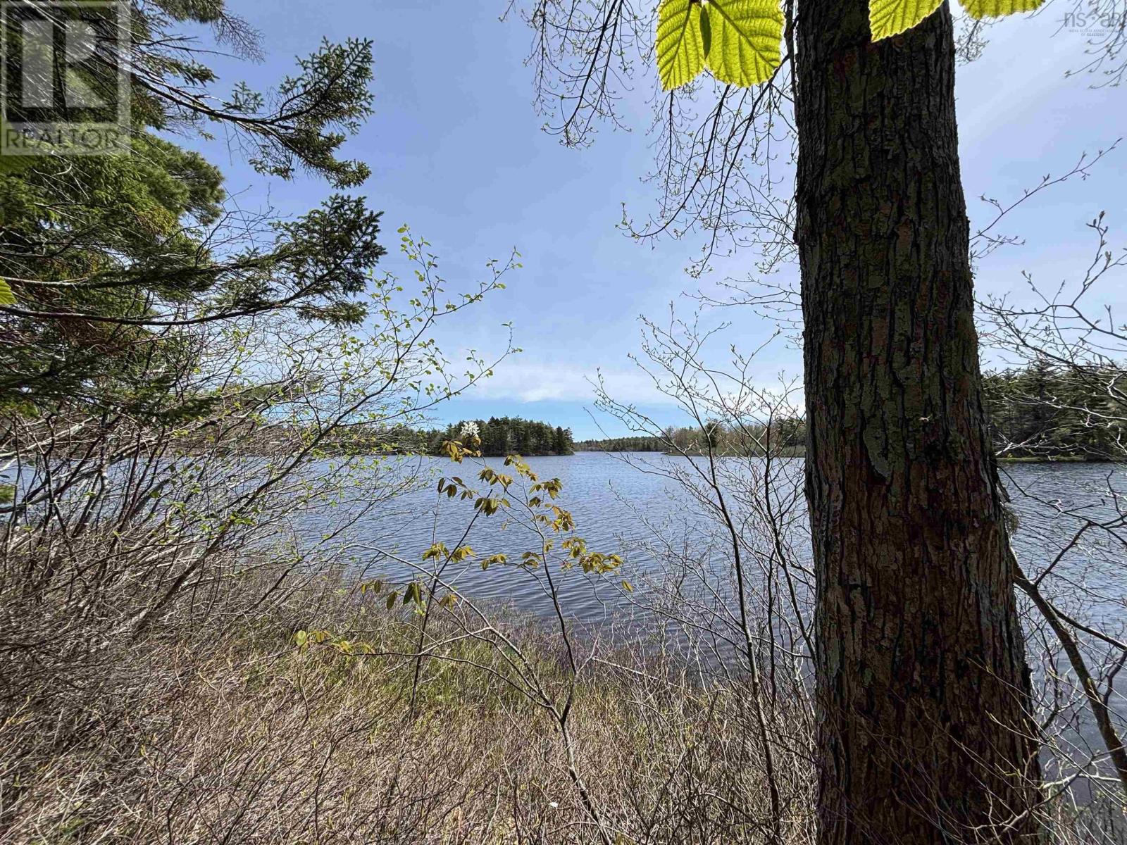 Lot 6-23 Highway 325 - Photo 2