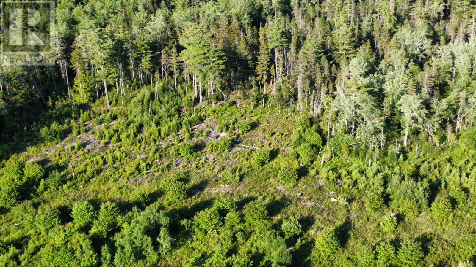 Lot 2 Albany New Road