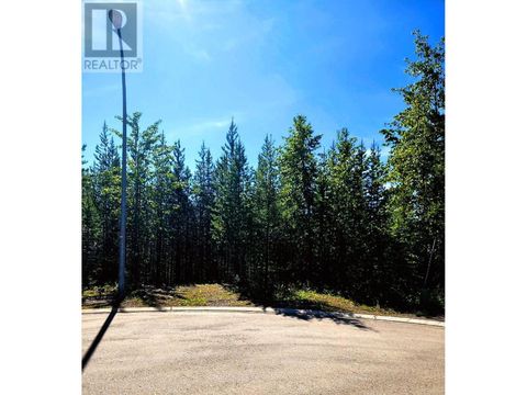 3 DEMPSEY Place Elkford BC V0B1H0
