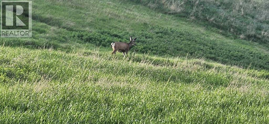 109 Cranbrook Villas SE