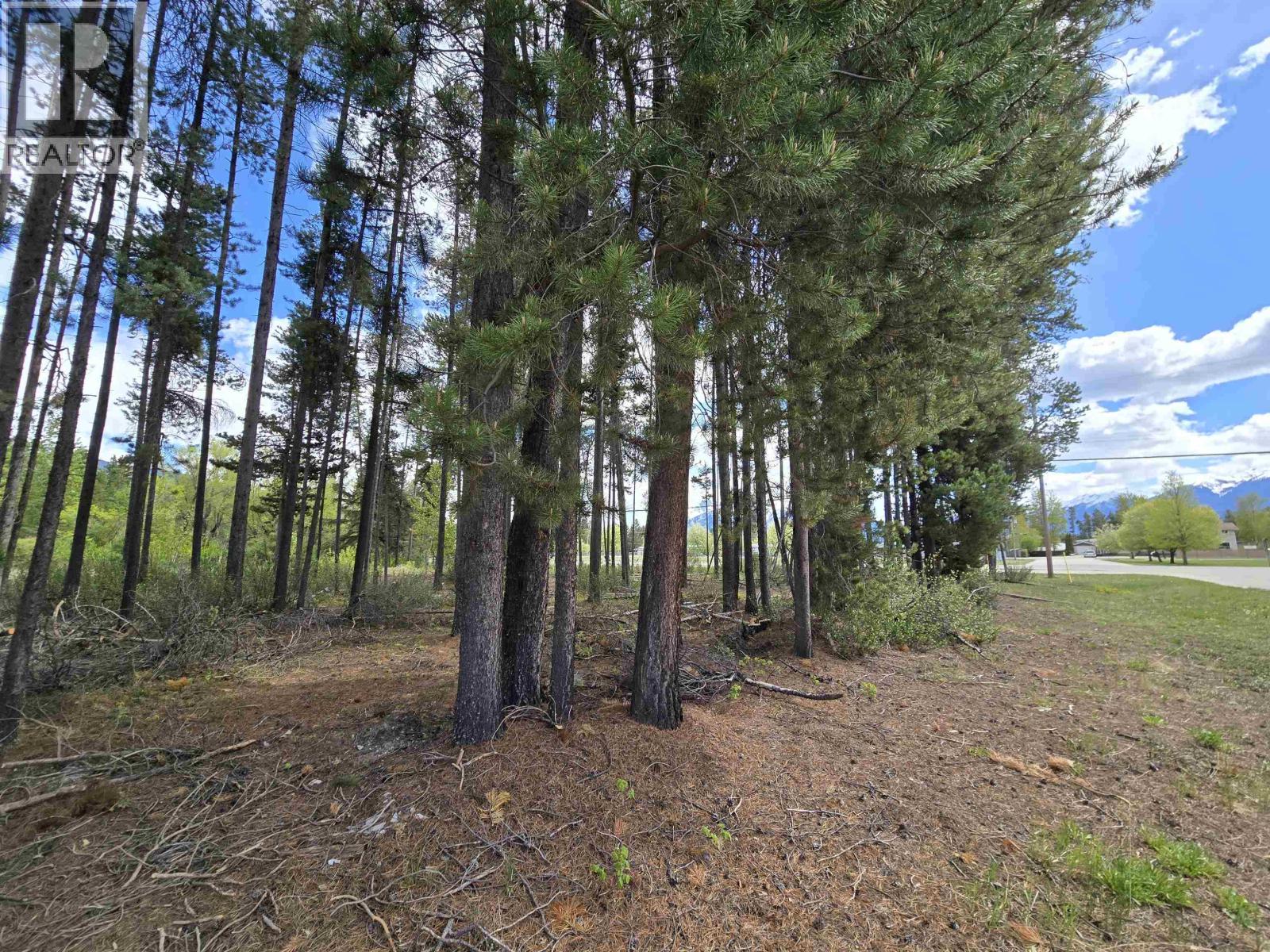 LOT 12 5TH AVENUE