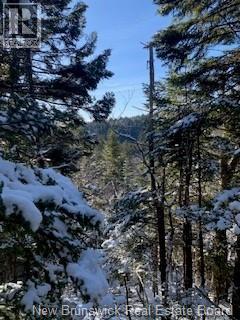 0 PattersonSiding/Town Plot Road - Photo 2