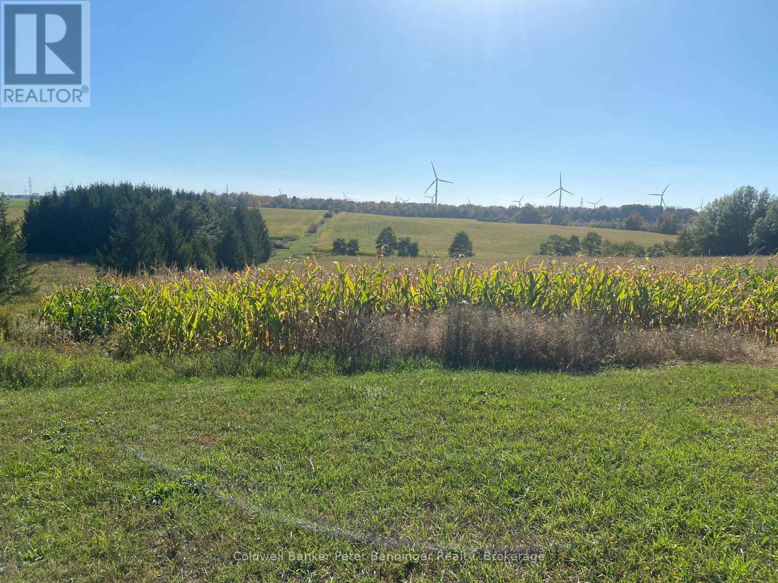 1315 CONCESSION 8 CONCESSION