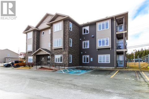 1 Kestrel Drive Unit#204 Paradise NF A1L2T9