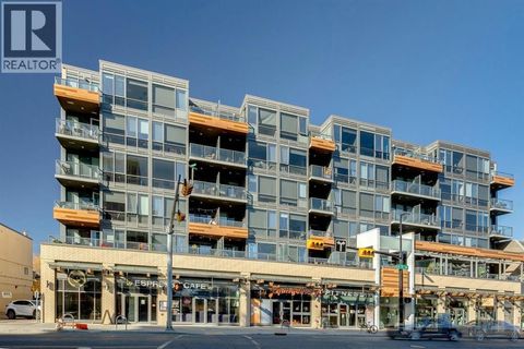 210, 301 10 Street NW Calgary AB T2N1V5