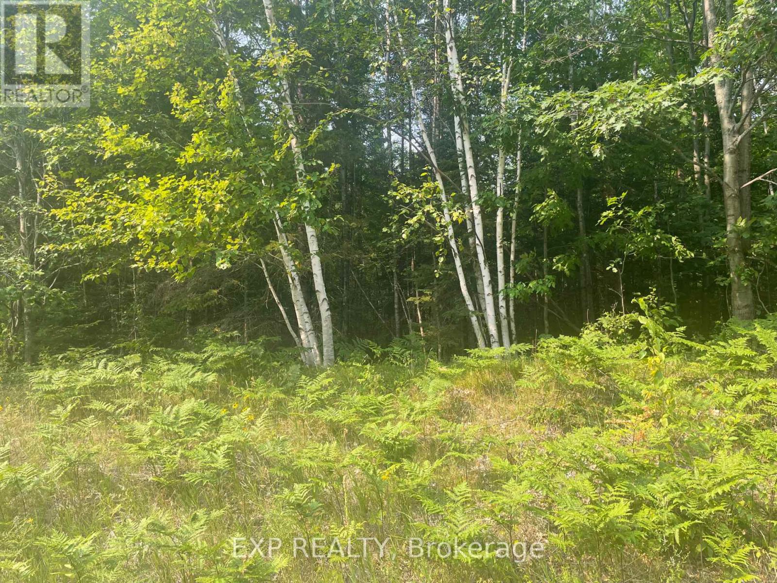 Photo 1 of 3 — 1571 SCHUTT ROAD, Brudenell, Lyndoch and Raglan, ON K0J2E0