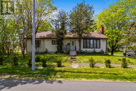 204 Elizabeth Avenue St. John's NF A1B1T5