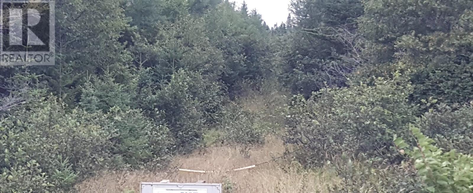 992B Main Road - Photo 2