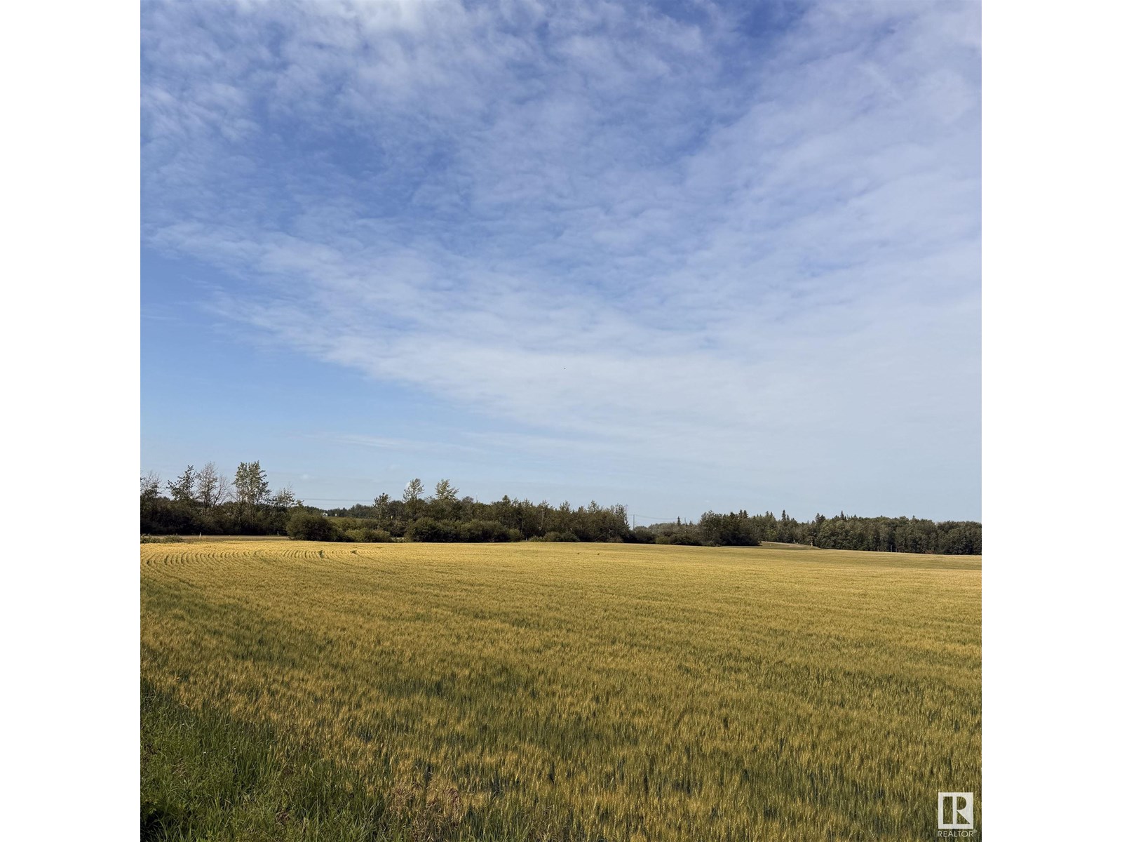 10512 Atim RD
