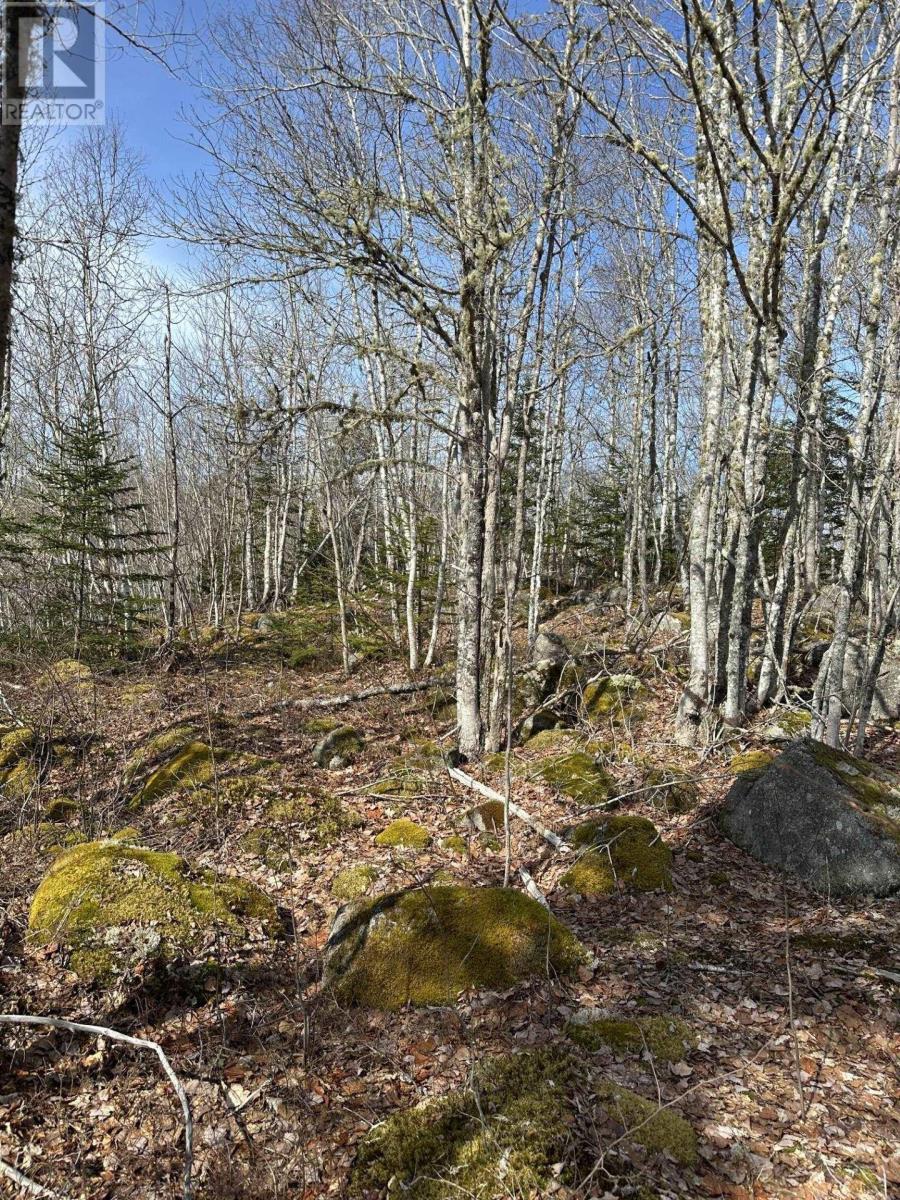Lot 7 North River Road - Photo 4