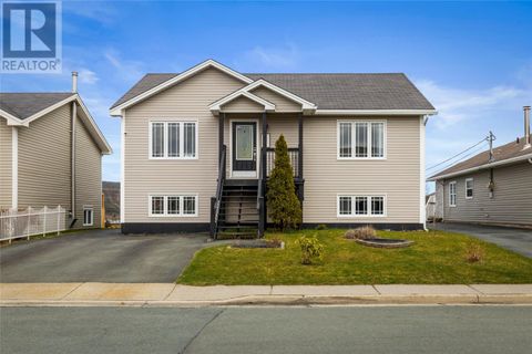 20 Gullage Street St. John's NF A1S0A4