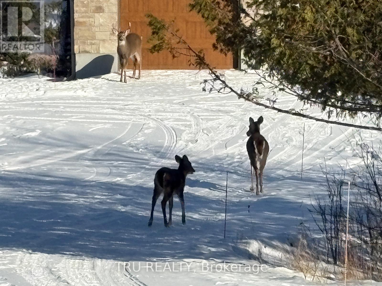 3024 STONERIDGE ROAD