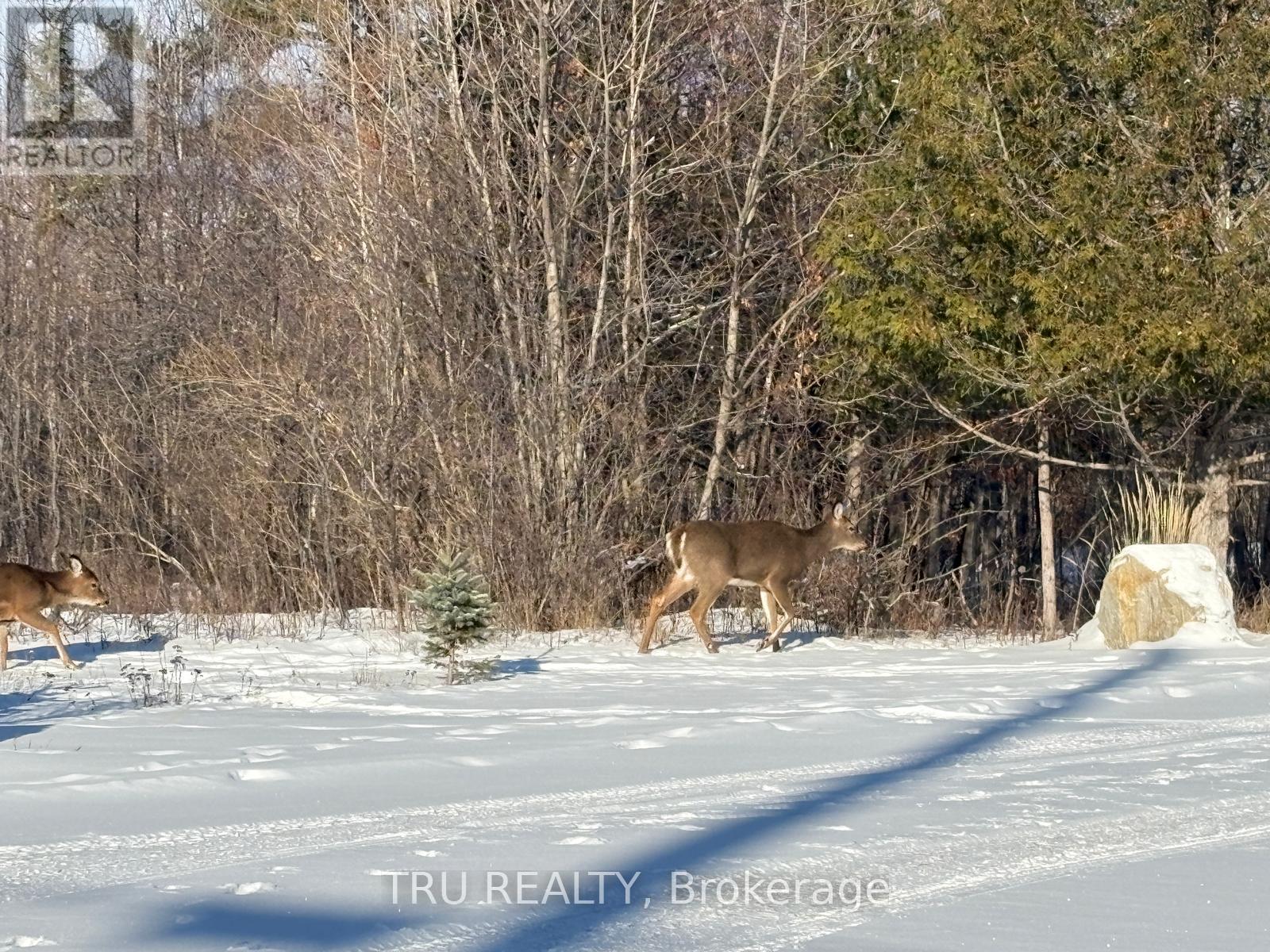 3024 STONERIDGE ROAD