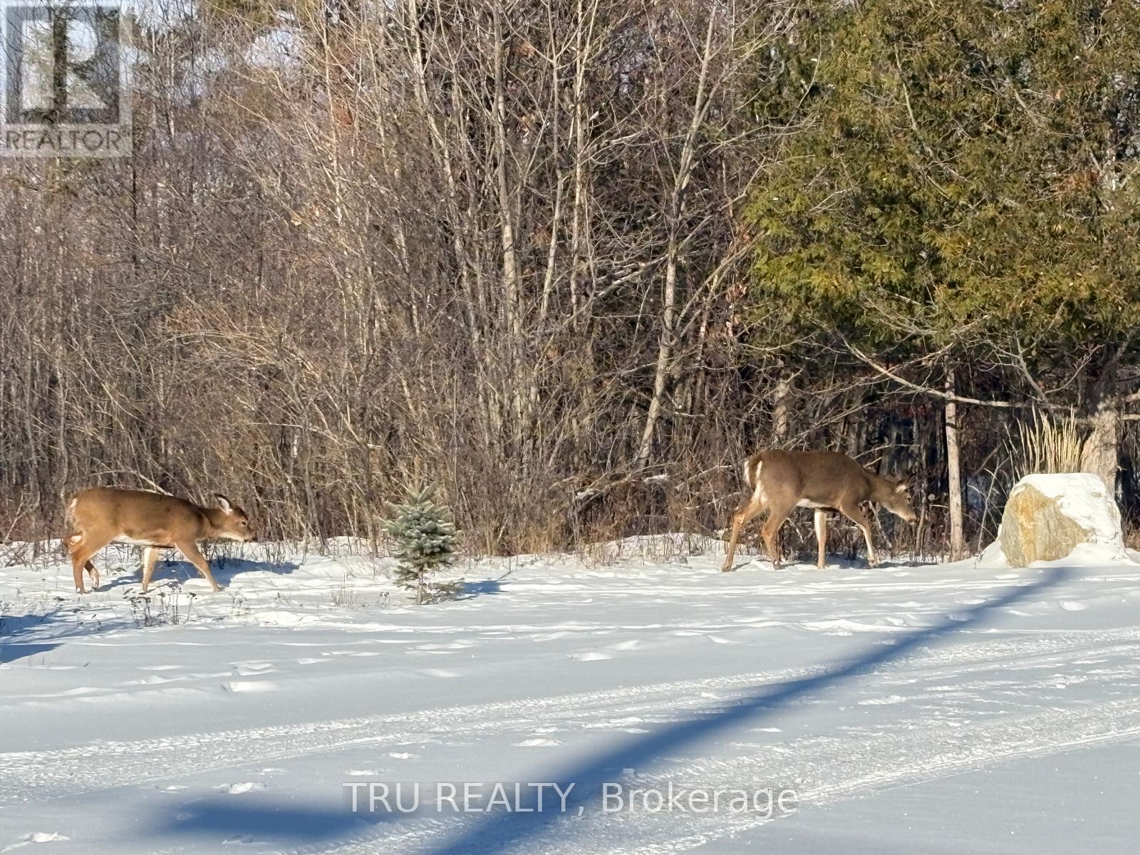 3024 STONERIDGE ROAD