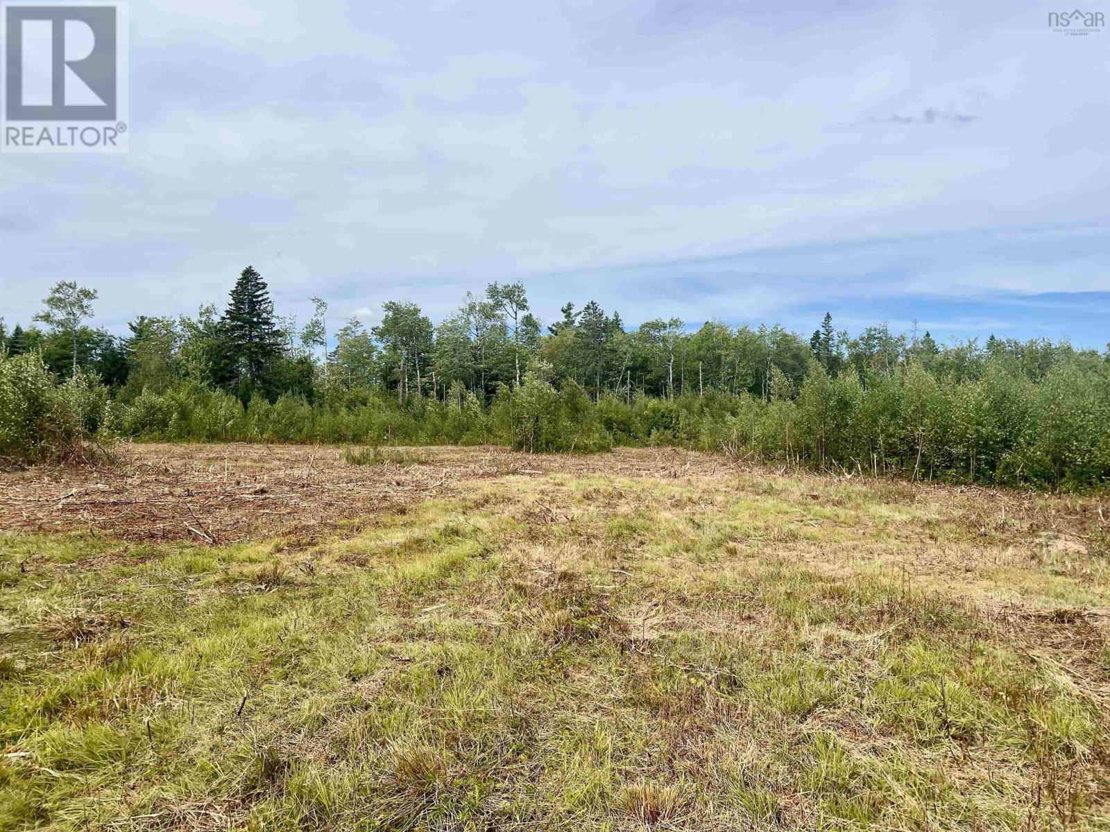 Lot 10 Peck Meadow Road - Photo 2