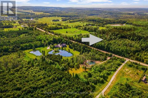 429560 8TH B CONCESSION Grey Highlands ON N0C1M0