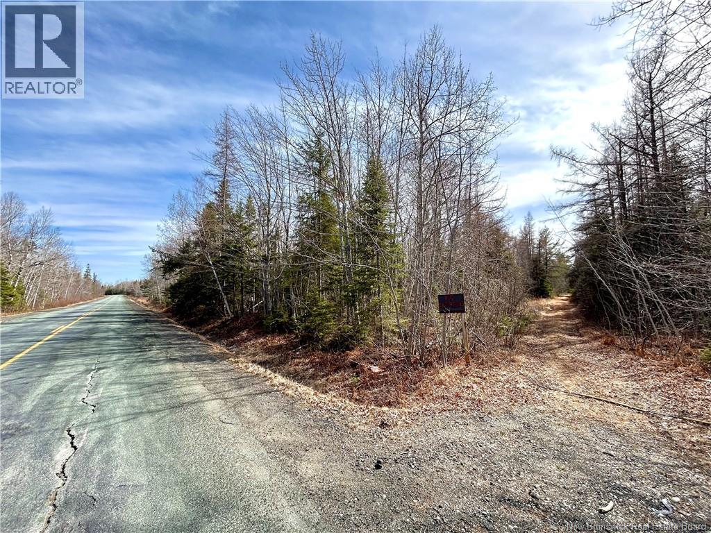 53.1 Acres Route 117