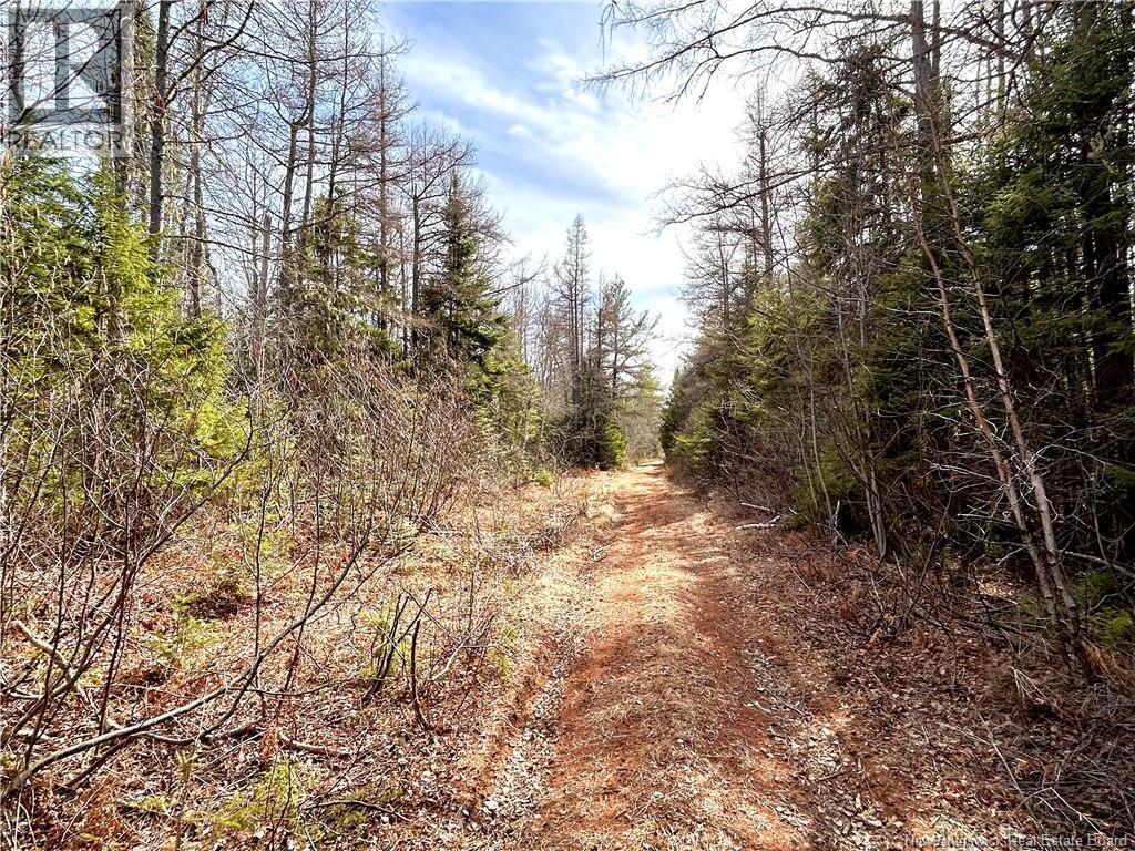 53.1 Acres Route 117