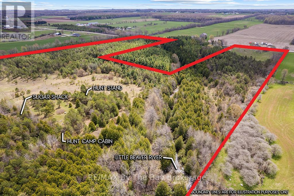 353814 OSPREY ARTEMESIA TOWNLINE