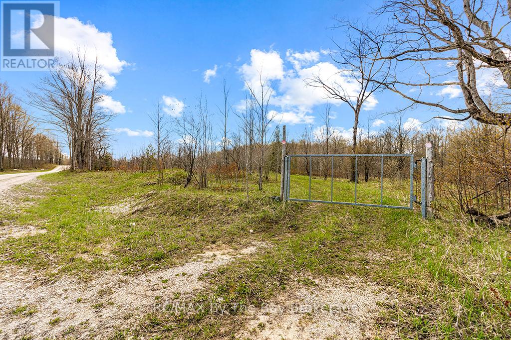 353814 OSPREY ARTEMESIA TOWNLINE