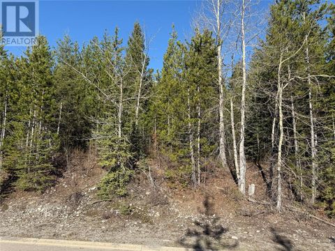 16 Driftwood Place Elkford BC V0B1H0