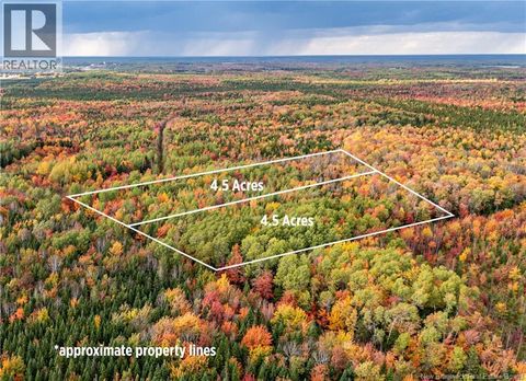 Lot Cormier Village Road Saint-Paul NB E4T3H3