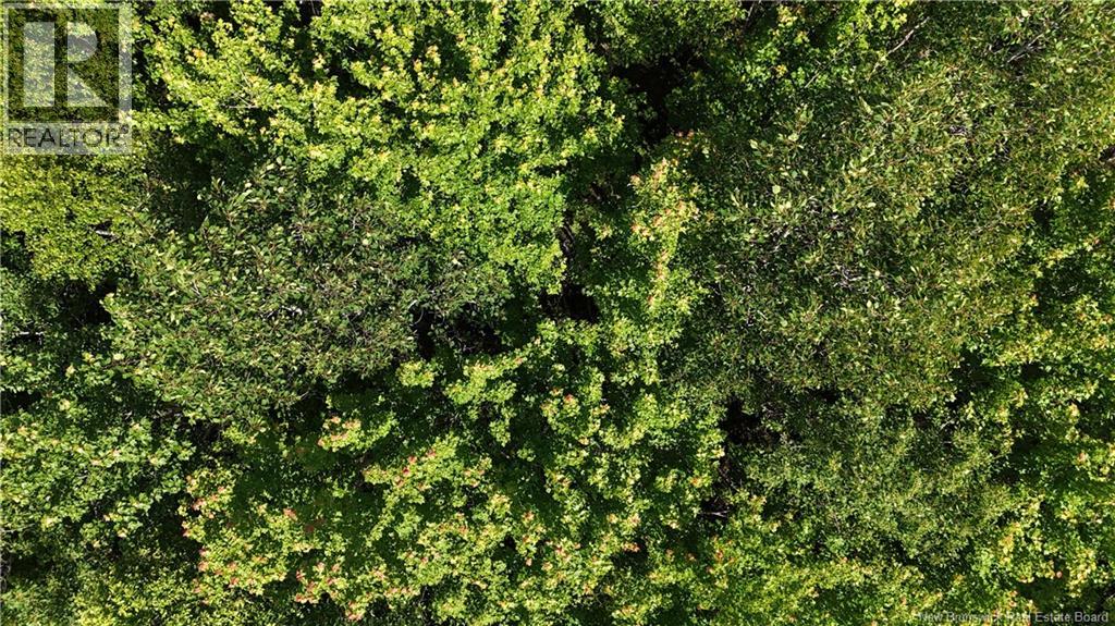 Lot Cormier Village Road