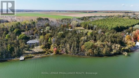 4563 COUNTY 9 ROAD Greater Napanee (Greater Napanee) ON K7R3K8