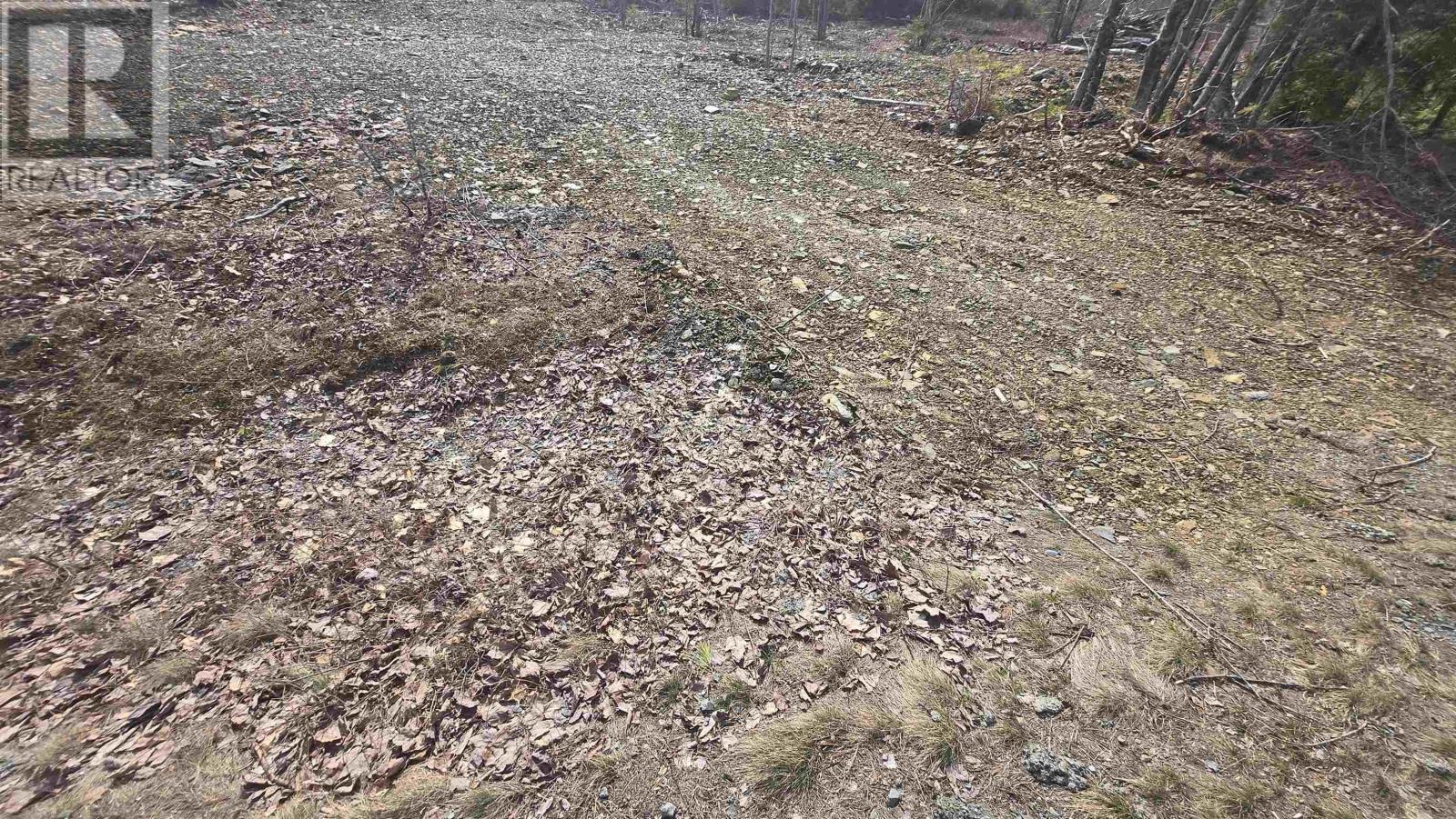Lot 25-4 Upper Branch Road - Photo 4