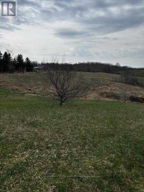 207 CONCESSION ROAD 2