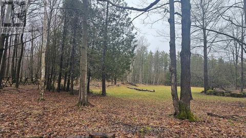 PT LT 1 CONCESSION RD 21 ROAD Georgian Bluffs ON N0H2T0