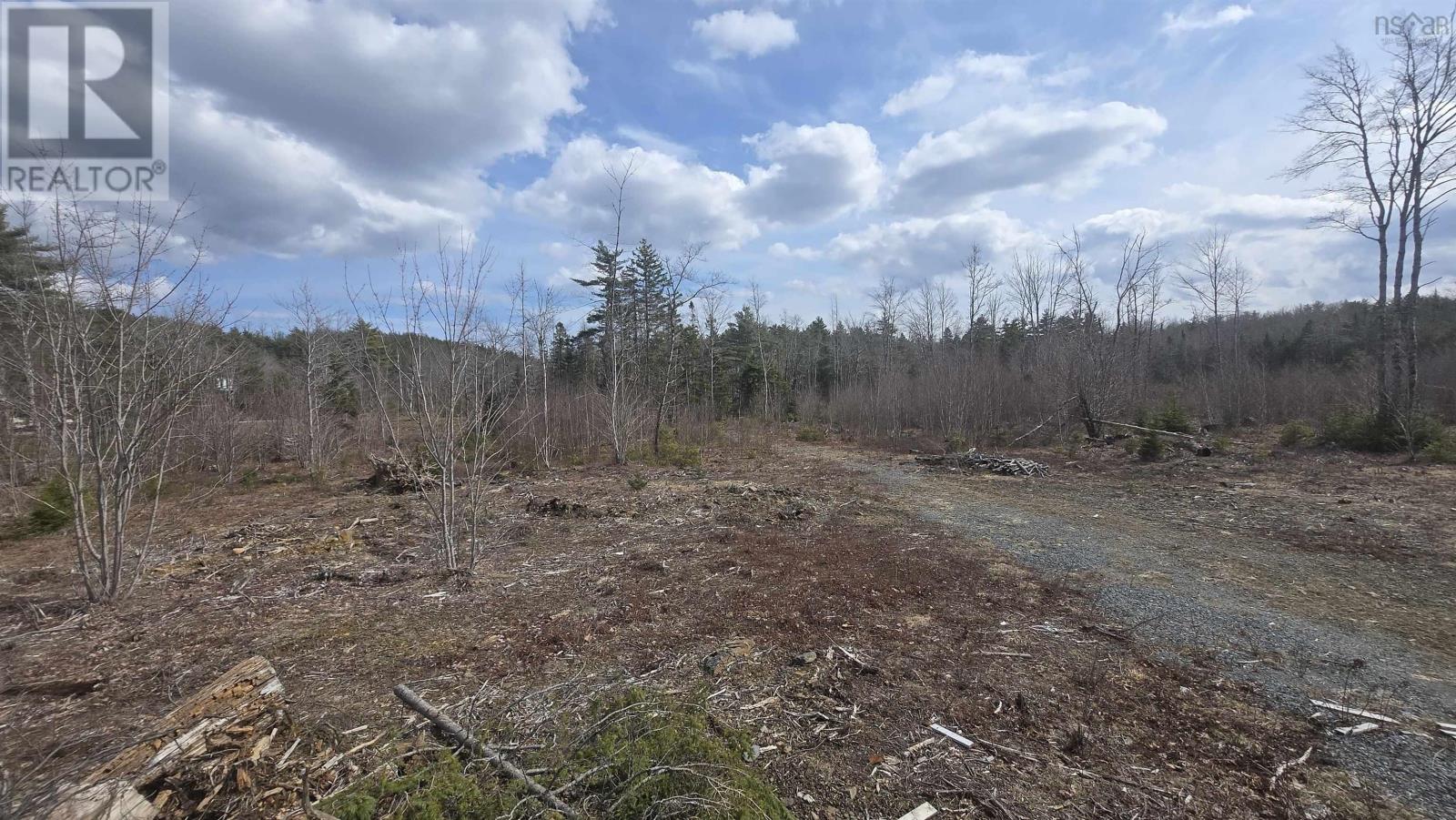 Lot 25-1 Upper Branch Road - Photo 2