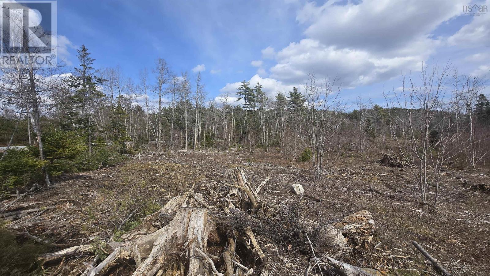 Lot 25-1 Upper Branch Road - Photo 3