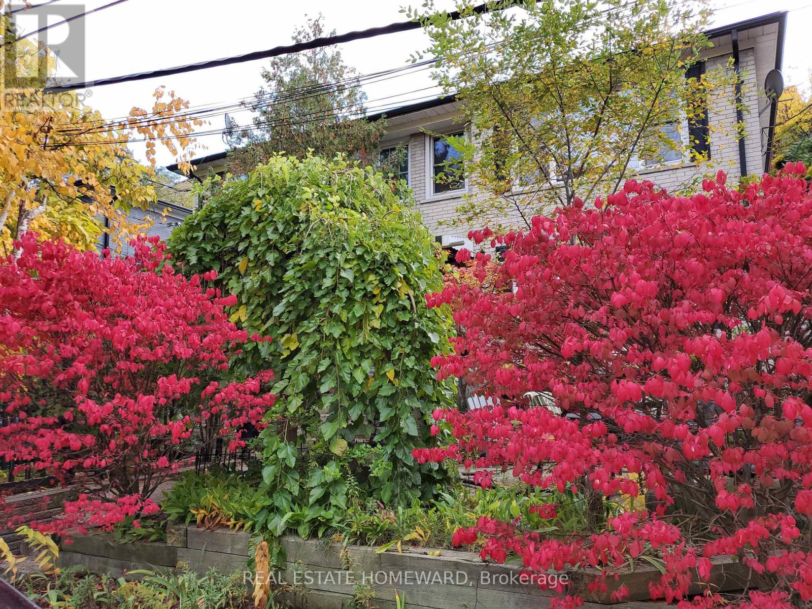 MAIN FLOOR - 21 LOVE CRESCENT