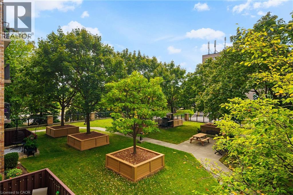 3499 UPPER MIDDLE Road Unit# 211