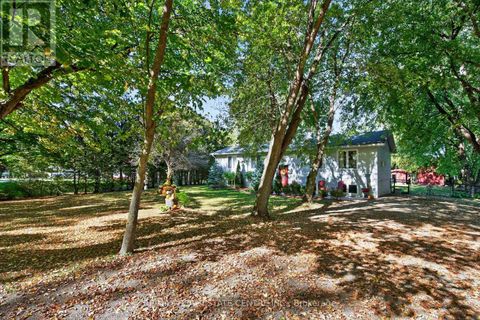 8424 6 LINE Wellington North ON N0G2E0