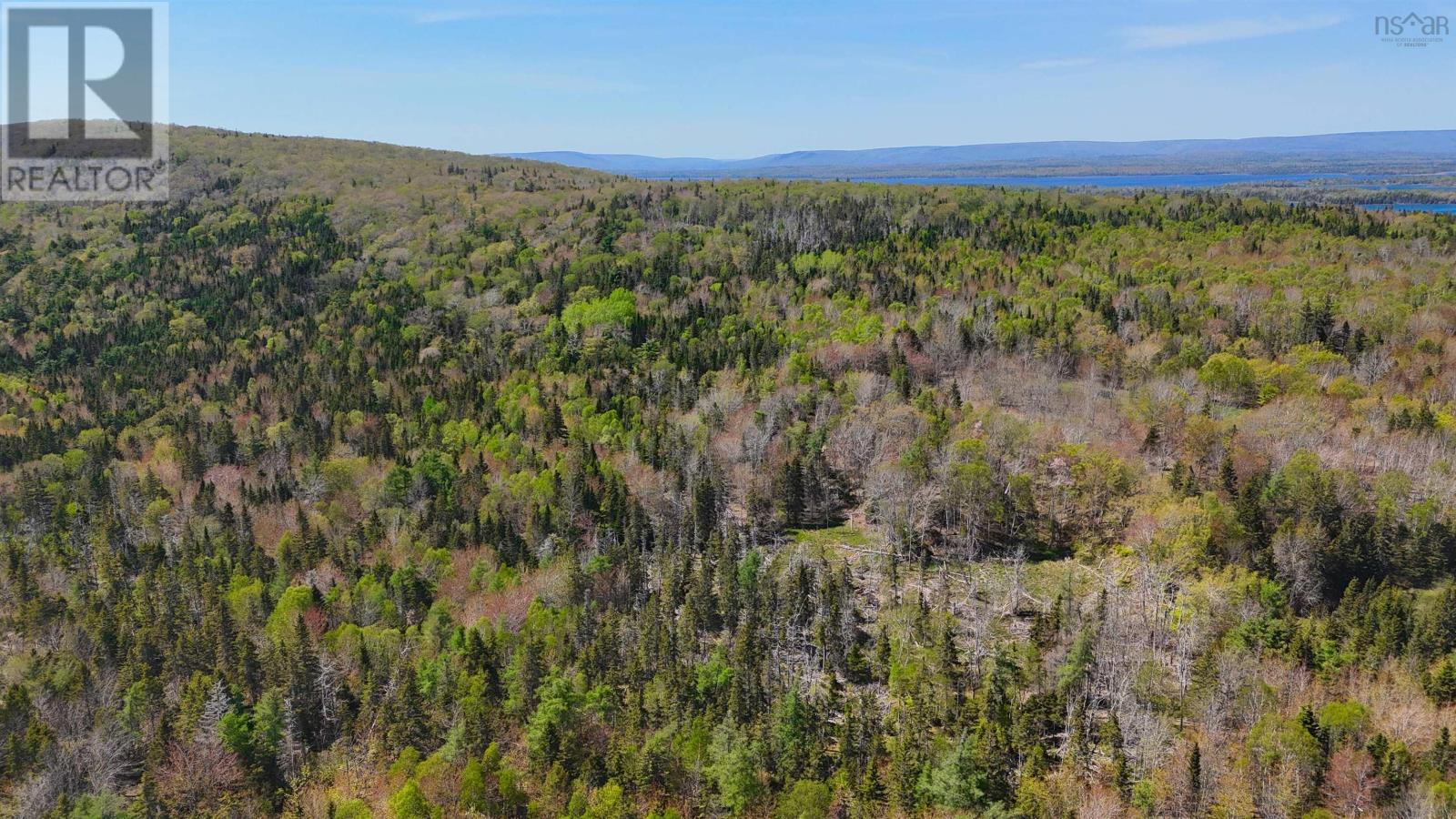 7004 Marble Mountain Road