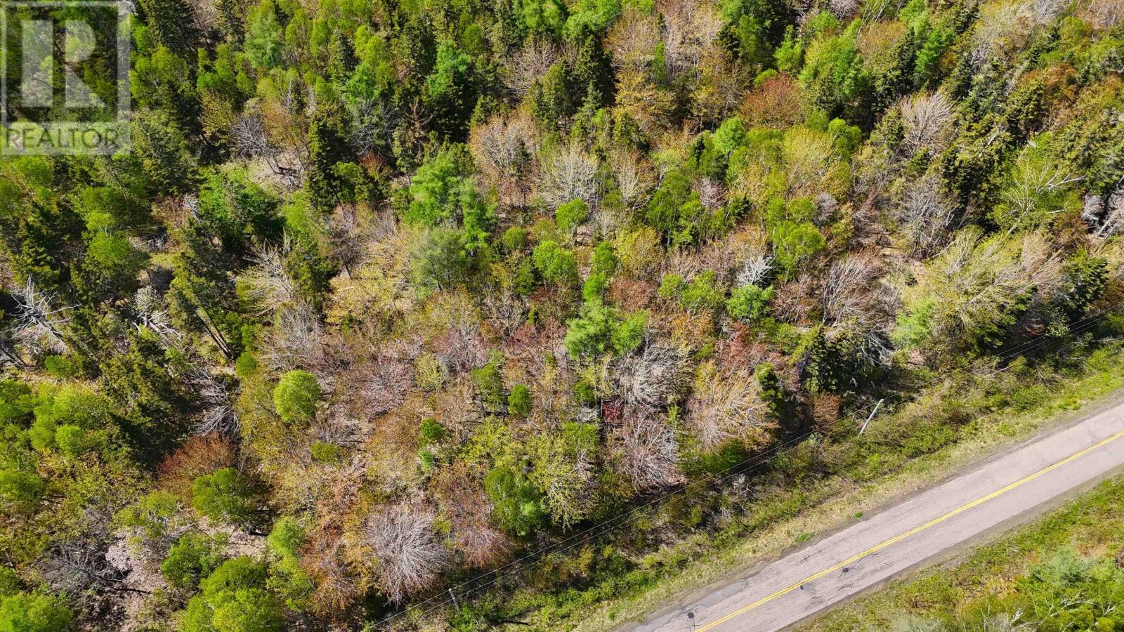 7004 Marble Mountain Road
