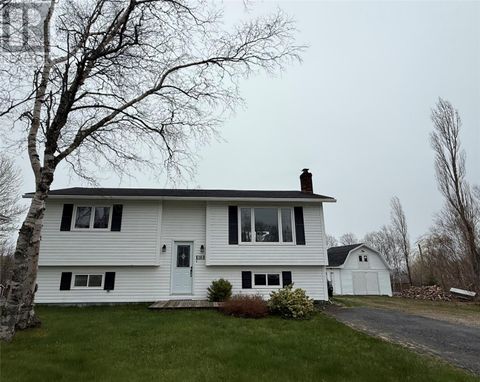 58 Circular Road Appleton NF A0G2K0