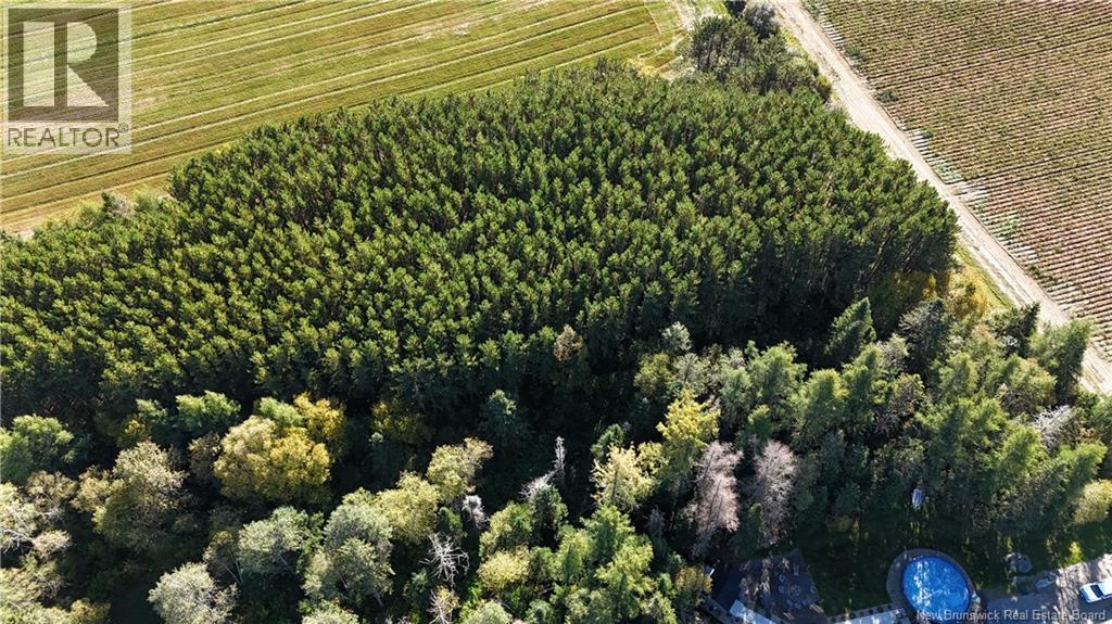 Lot Waddell Road - Photo 3