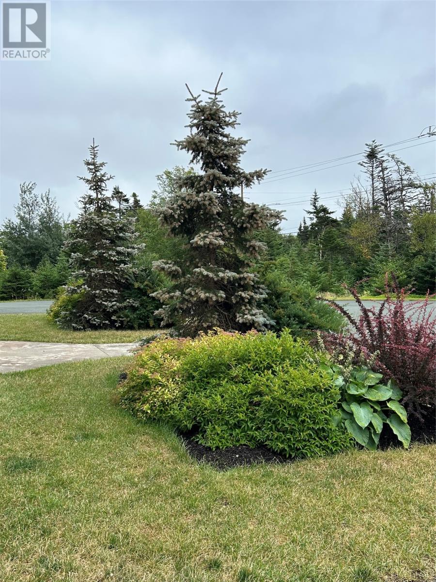 480 Thorburn Road