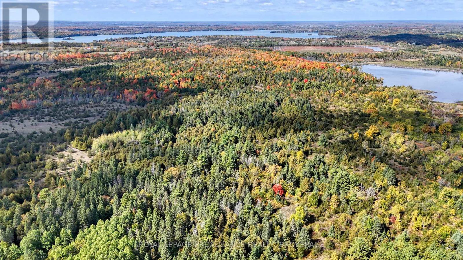 PT LT 40 CUTLER ROAD