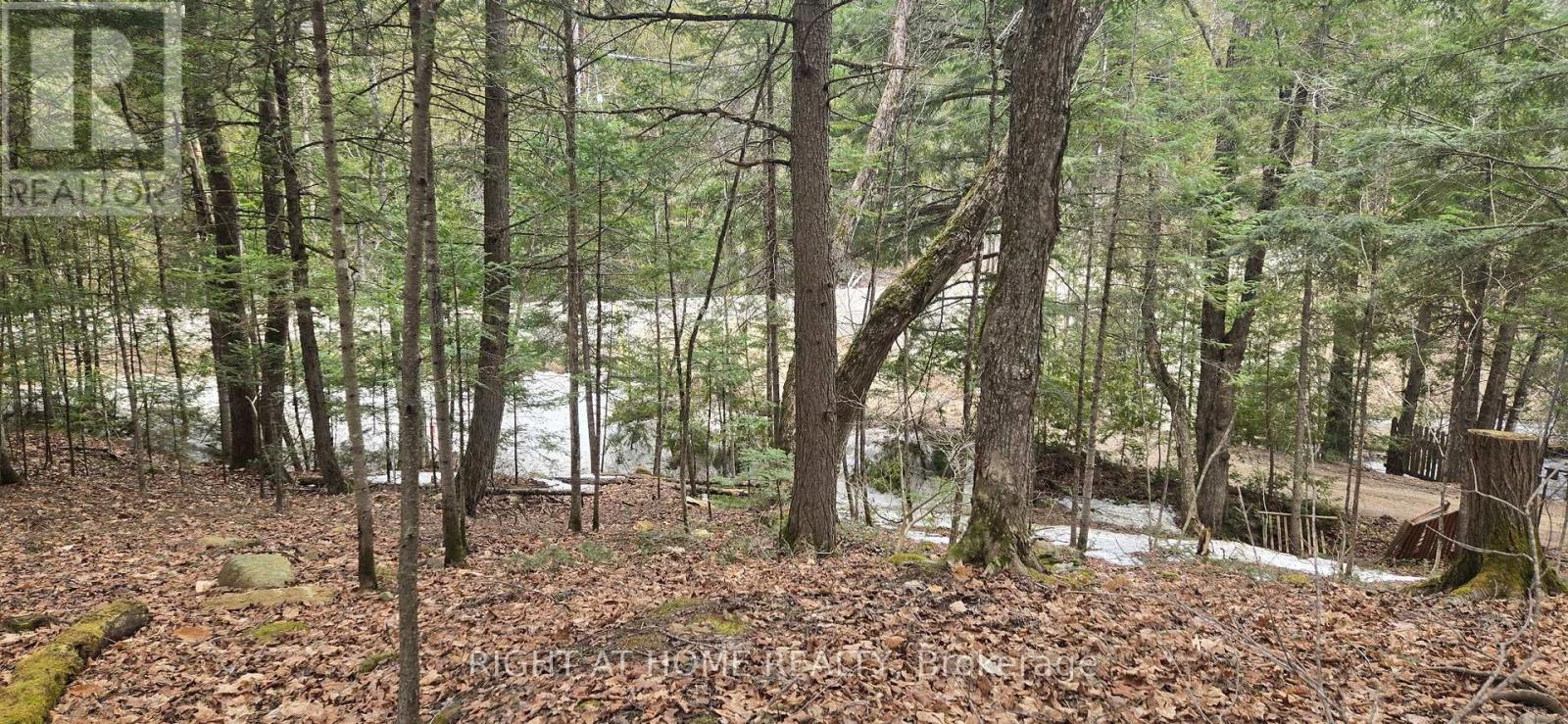 1061 CENTENNIAL LAKE ROAD