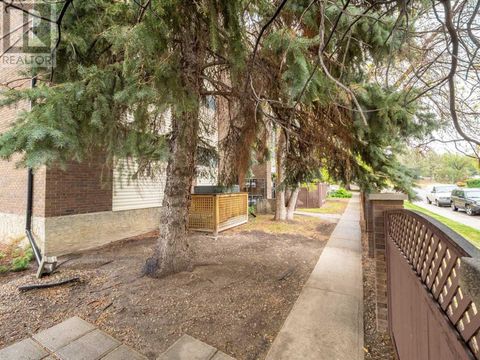 108, 2207 8 Avenue S Lethbridge AB T1J4G1