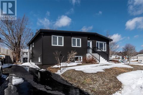 6 Nightingale Road St. John's NF A1E2G5