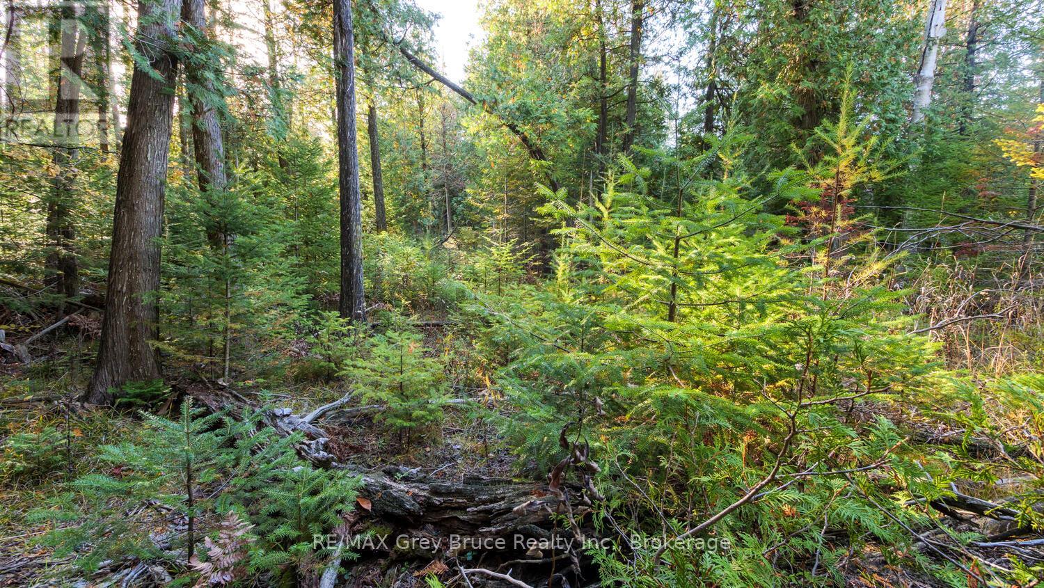 NOT ASSIGNED SAUBLE FALLS PARKWAY