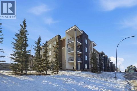 210, 7110 80 Avenue NE Calgary AB T3T0N4